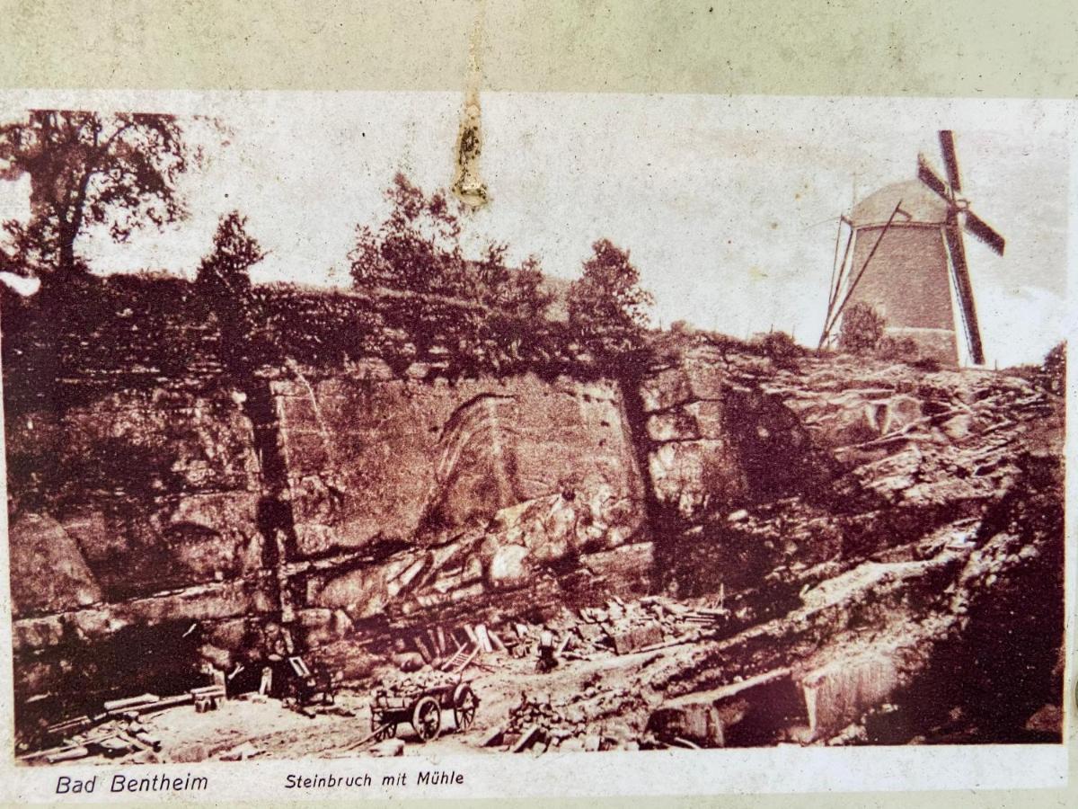 An der alten Mühle Große Fewo mit Südbalkon, Gartenterrassen&Wallbox Bad Bentheim Exterior foto