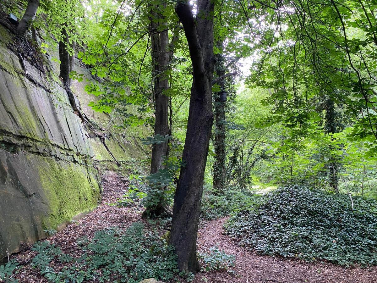 An der alten Mühle Große Fewo mit Südbalkon, Gartenterrassen&Wallbox Bad Bentheim Exterior foto