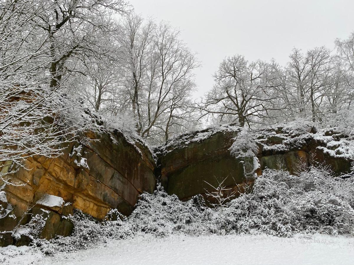 An der alten Mühle Große Fewo mit Südbalkon, Gartenterrassen&Wallbox Bad Bentheim Exterior foto