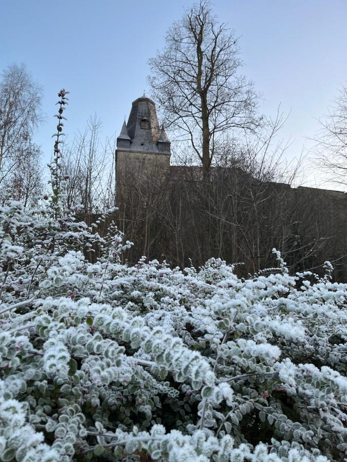 An der alten Mühle Große Fewo mit Südbalkon, Gartenterrassen&Wallbox Bad Bentheim Exterior foto
