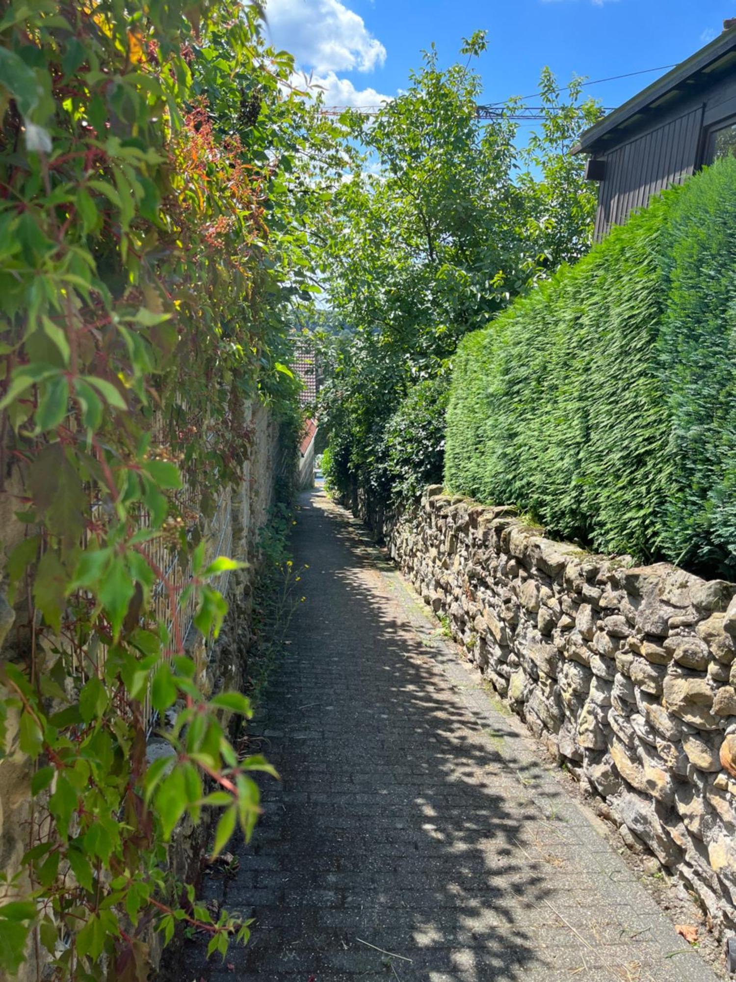 An der alten Mühle Große Fewo mit Südbalkon, Gartenterrassen&Wallbox Bad Bentheim Exterior foto